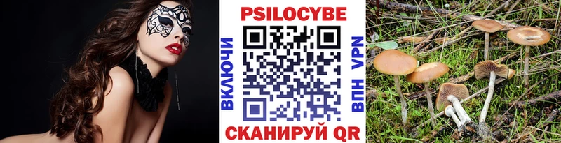 hydra зеркало  Юрьевец  Псилоцибиновые грибы мухоморы 
