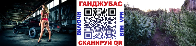 Бошки Шишки гибрид  Юрьевец 